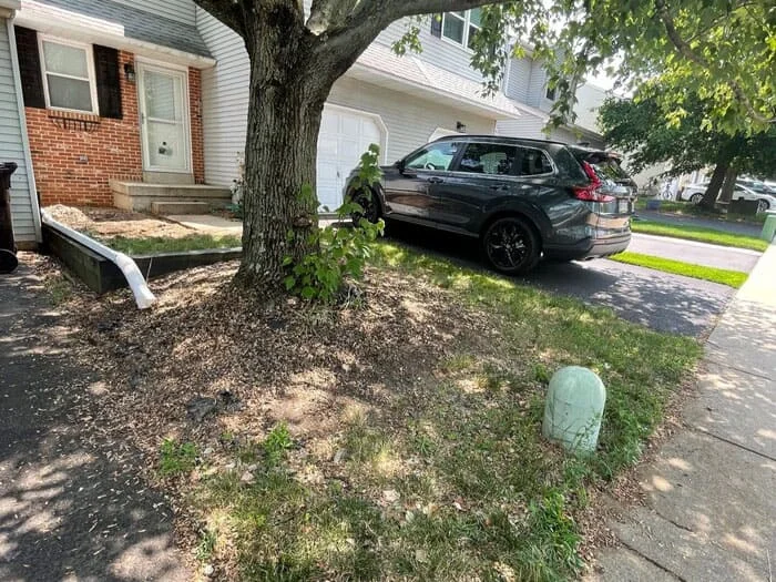 Residential Small Landscape, Hardscape and Drainage project in North Wales, PA